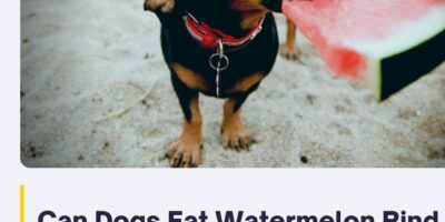 Can Dogs Eat Watermelon Rind or Watermelon Seeds